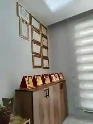 DivaLüks Man'da sergilenen ödül plaketleri ve sertifikalar